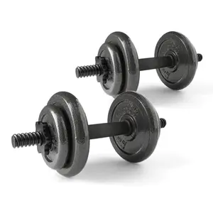 Athletic Works Cast Iron Dumbbell Set For Home Workout 40lb Adjustable Hand Weight Gear Fitness Bodybuilding