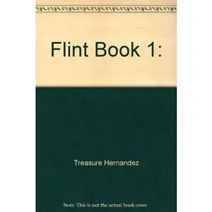 USED-Flint Book 1: by Treasure Hernandez (Unknown)