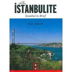 USED-Istanbulite - Istanbul in Brief by Alper Almelek (Paperback)