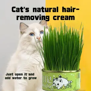 WhiteBear Cat Grass Kit for Indoor Cats, Hairball Control, Anti-Inflammatory, They can grow simply by opening the can and adding water.Improves Digestion and Metabolism