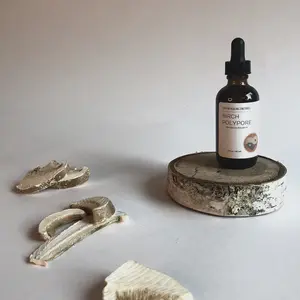 Birch Polypore mushroom herbal tincture
