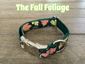 Autumn Dog collar with Falling Leaves