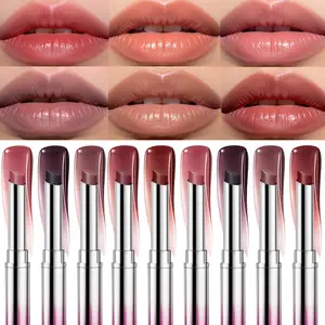 Waterproof color rendering lip gloss, long-lasting makeup holding, anti smudging, matte lip gloss, Lipstick