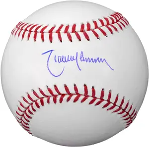 Randy Johnson Arizona Diamondbacks Autographed Baseball - Fanatics Authentic Certified