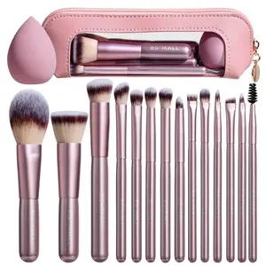 14PCS Mini Makeup Brush Set, Makeup Brushes Kit with Beauty Sponge & Makeup Bag,Great for Foundation Powder Blush Concealer Eyeshadow,Travel-Friendly Portable Makeup Tools