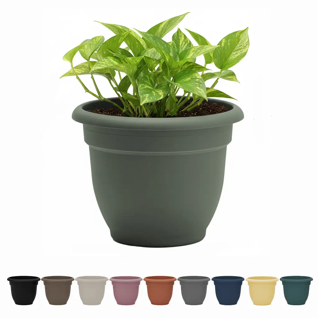 Bloem Ariana Self-Watering Planter - Lightweight Resin Plastic, Indoor & Outdoor, Gardening, Durable, Made in the USA, Self-Watering Disk Included