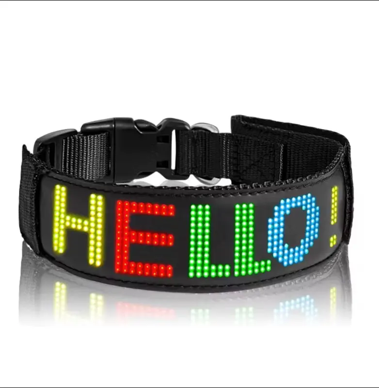 DogDisplay Pro collar