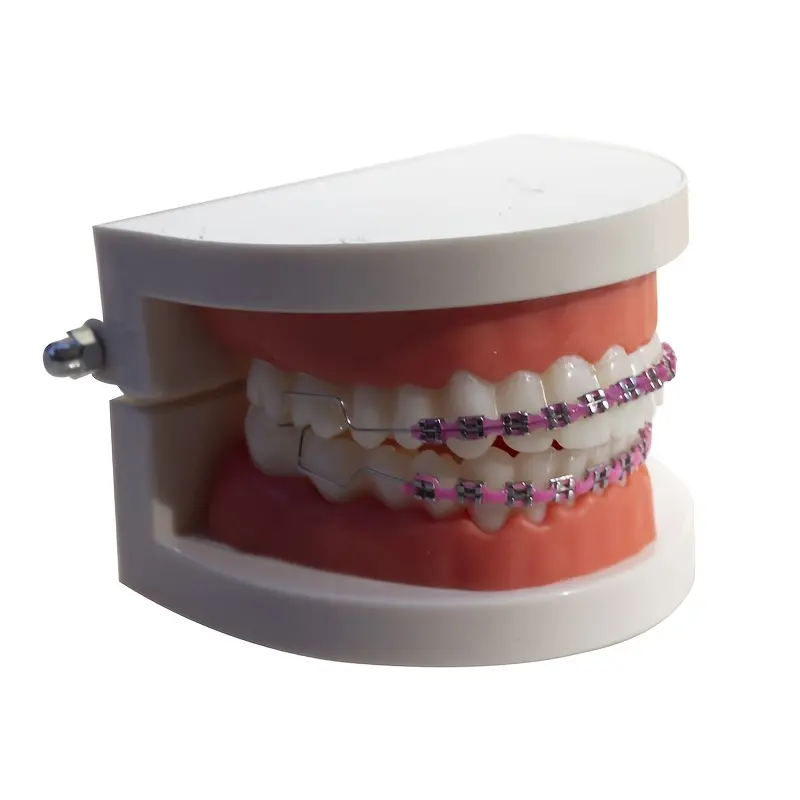 Pink Stainless Steel Temporary Wear Dental Brace with Heart-Shaped Brackets - Metal Cosplay Prop, Anime-Theme Sports & Outdoor Boxing Accessory