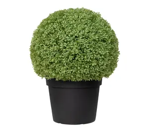 Northlight Boxwood Ball Artificial Topiary in Weighted Pot