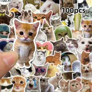 100 Fun Cat Stickers, Cute Kitten Meme Designs with Hats, Fashion Glasses, Peace Signs, Self-Adhesive Decals for Water Bottles, Laptops, Skateboards, Funny Stickers