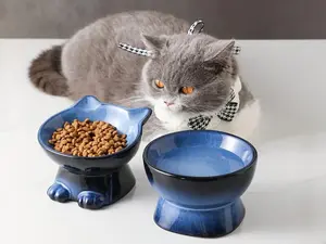 Elevated Cat/Dog Bowls Set : 5 Inch Ceramic Raised Cat Food and Water Bowl Set for Protecting Pet's Spine - Feeding & Watering Supplies for Pets- Elegant Blue & Black (2PC)