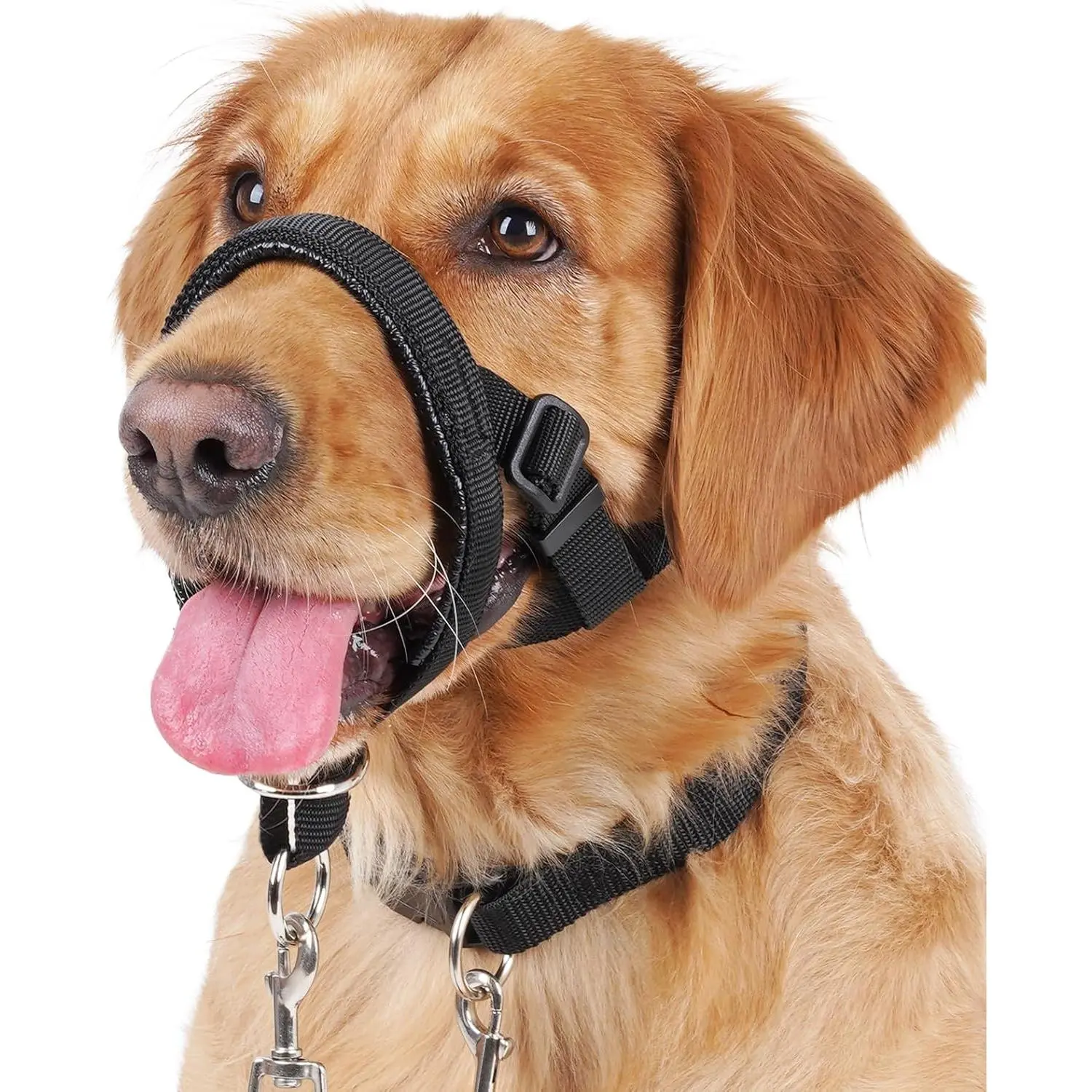 Anti-Pull Dog Training Head Collar with Adjustable Strap, Soft Padded Muzzle, Safety Leash - Multi-Size Halter for Reactive Large Dogs' Safe Walking, m, no