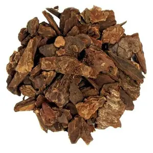 Jezebel Root