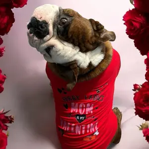 Valentine's Day Dog Shirt - Red 'Sorry Ladies Mom Is My Valentine' Pet Tee