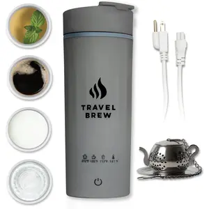 Portable Mini Travel Electric Kettle with Tea Infuser, 4 Temperature Settings, Auto Shut-Off & Boil Dry Protection, Gray