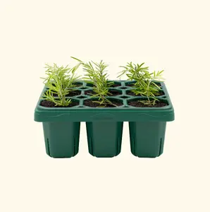 Vego garden Giga Seedling Trays 9-Cell UV-Resistant Reusable Starter Trays for Greenhouse/Garden (No Lids)