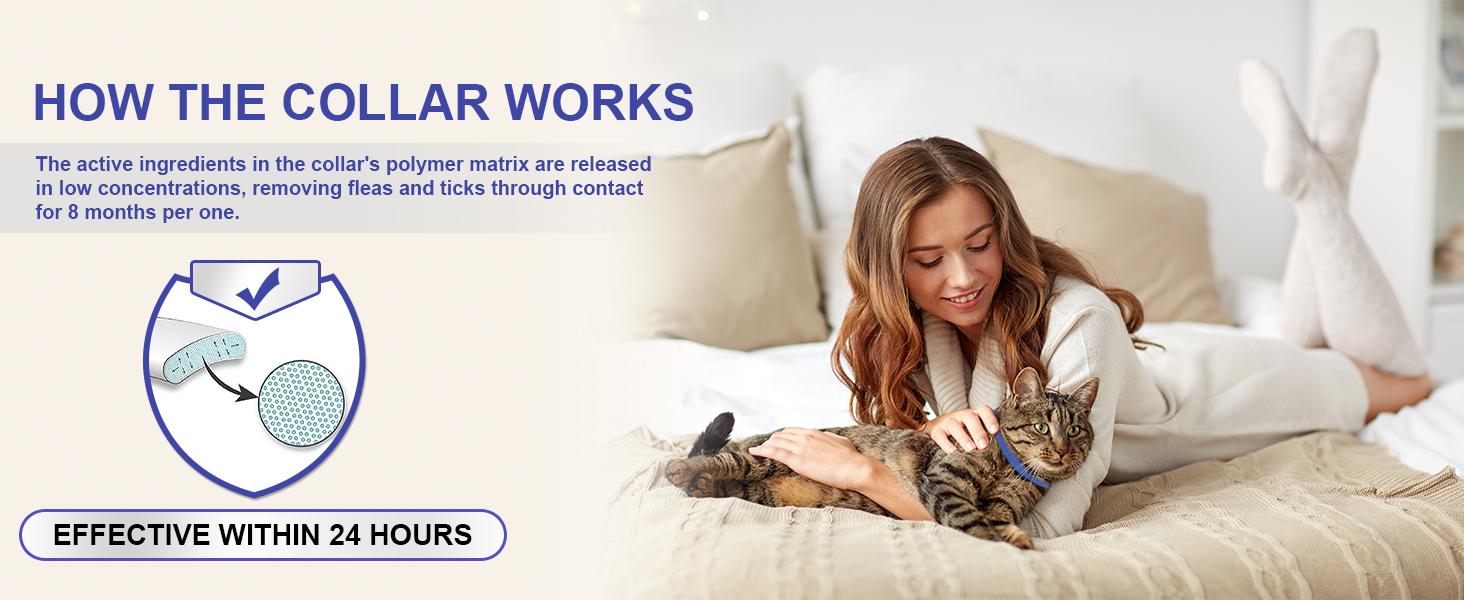 4 Pack Flea Collar for Cats, 32 Months Flea and Tick Prevention for Cat, Waterproof & Natural Cat Flea and Tick Treatment, Adjustable for Cats Kittens(Blue&Pink) #sohochic sohochic