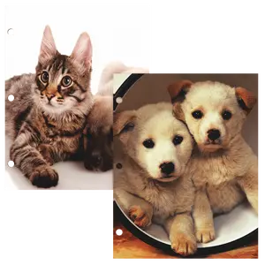 Cats & Dogs Themed Paper Pocket Binder Folders - Pocket Divider, 2-pocket Portfolio With Business Card Slots, Fits Standard 3-Ring Binder