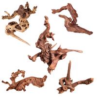 Mopani Driftwood 4.5 to 7.5 Inch (Pack of 5)