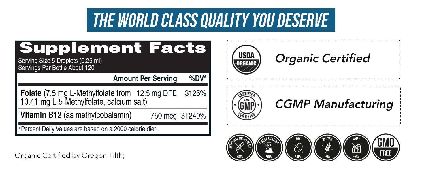 L-Methylfolate 7.5mg + Methyl B12 | Active 5-MTHF Form, Liquid, Organic Berry Flavor – Supports Mood, Cognition, and Methylation Healthcare Dietary L-Methylfolate 7.5mg + Methyl B12 | Active 5-MTHF Form, Liquid, Organic Berry Flavor – Supports Mood, Cognition, and Methylation Healthcare Dietary