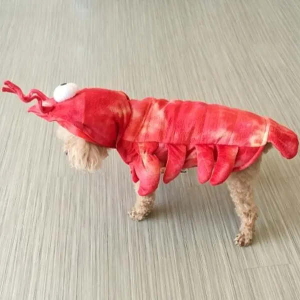 Halloween Funny Pet Clothes for Crayfish, Cats and Dogs, Costumes for Small, Medium and Large Dogs, Pet Supplies