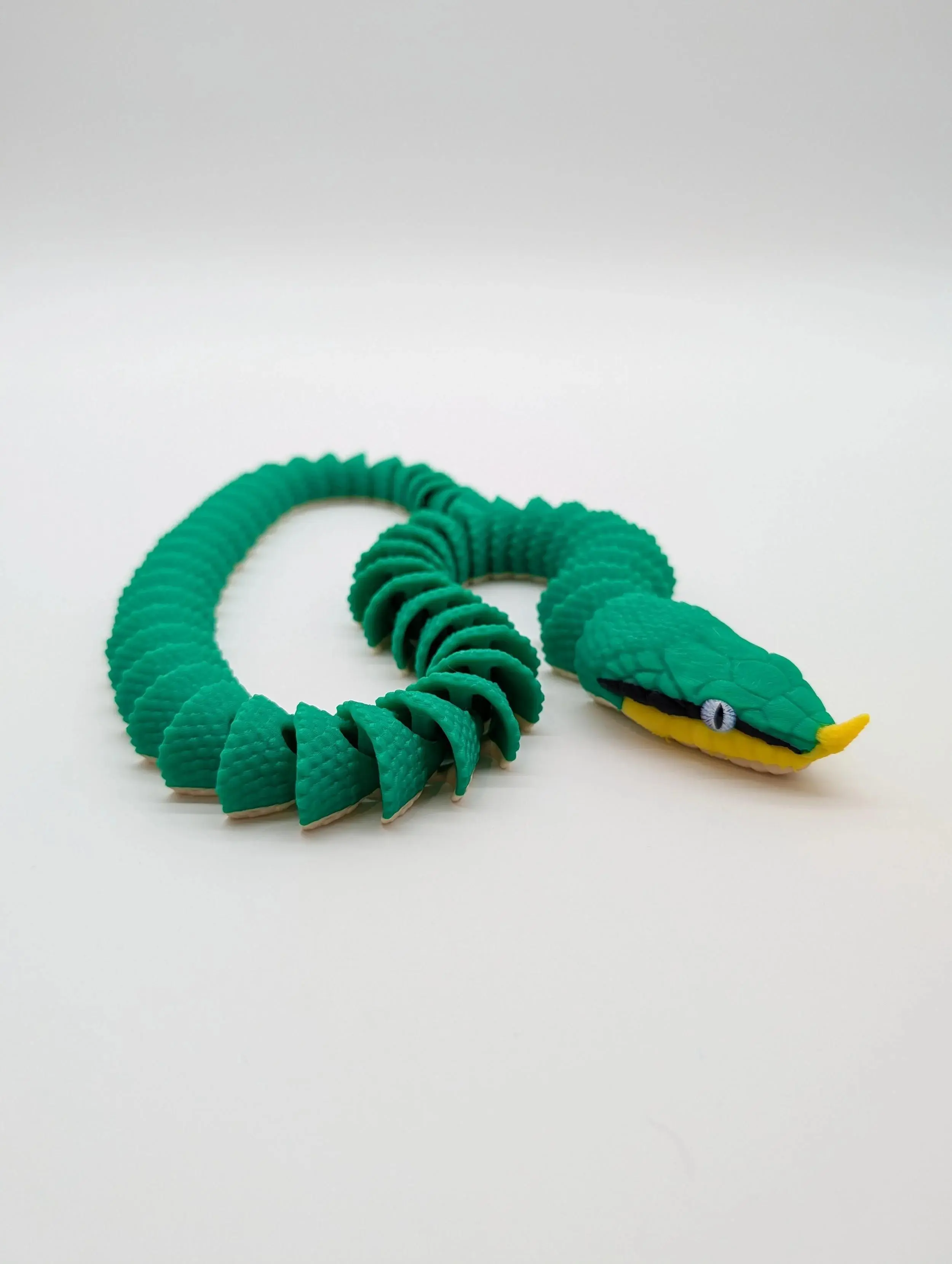 Rhinoceros Ratsnake