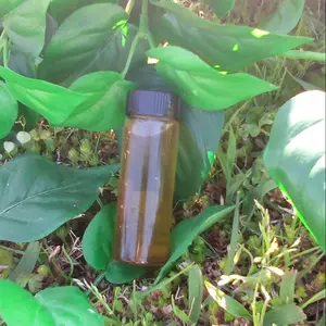 Attraction Oil by Conjure Women Minx Fae - Handcrafted, Potent, with Instructions, Versatile Usage, Little Goes a Long Way