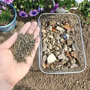 Stainless Steel Gardening Soil Sieve | Standard Gardening Tool Size | Ideal for Sifting Soil at Home, Filtering Soil for Succulents and Aquarium Substrates