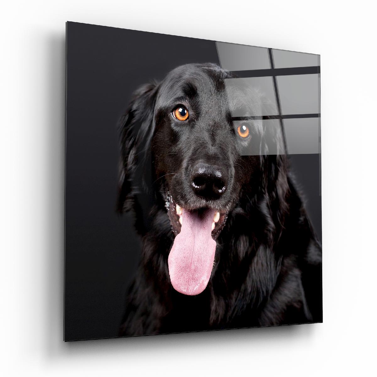 Custom Print on Glass