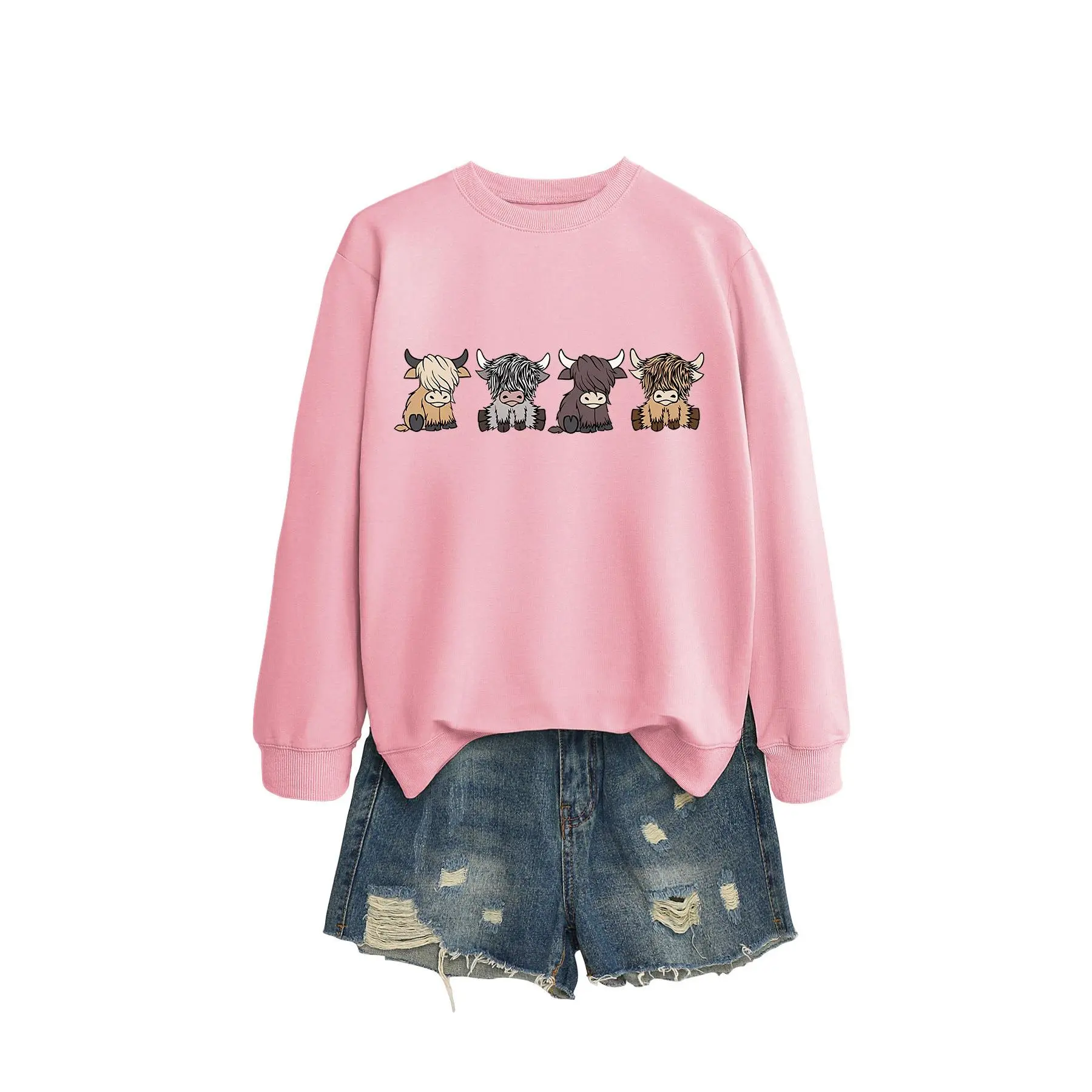 Pink hoodie (color picture)