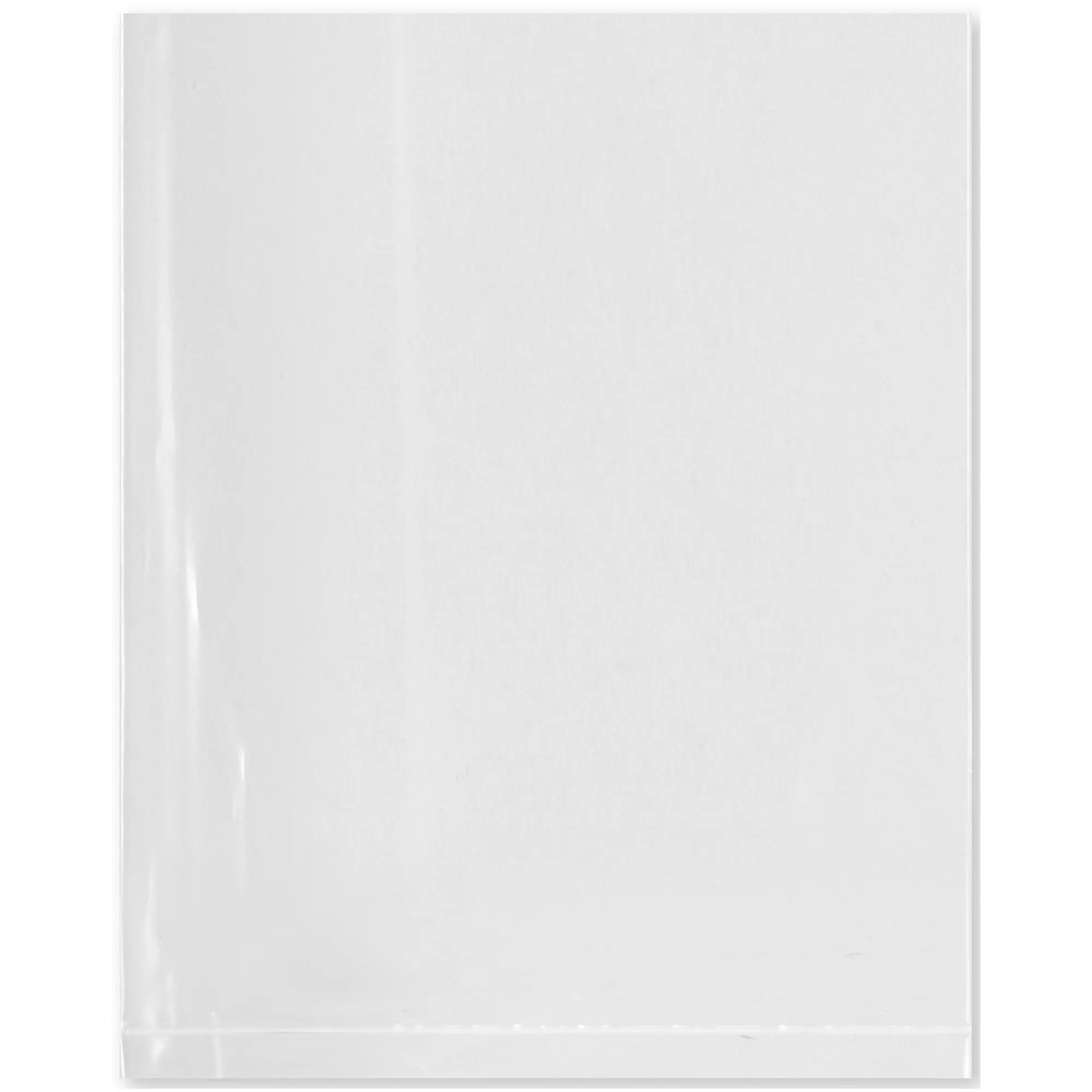 Plymor 4" x 5", 2 Mil Flat Open Clear Plastic Poly Bags