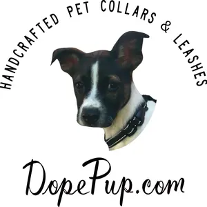 background preload poster image 