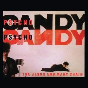 Jesus & Mary Chain - Psychocandy (40th Anniversary) Vinyl LP