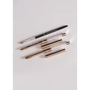 Acrylic Brush Kit With 3D Art Brush