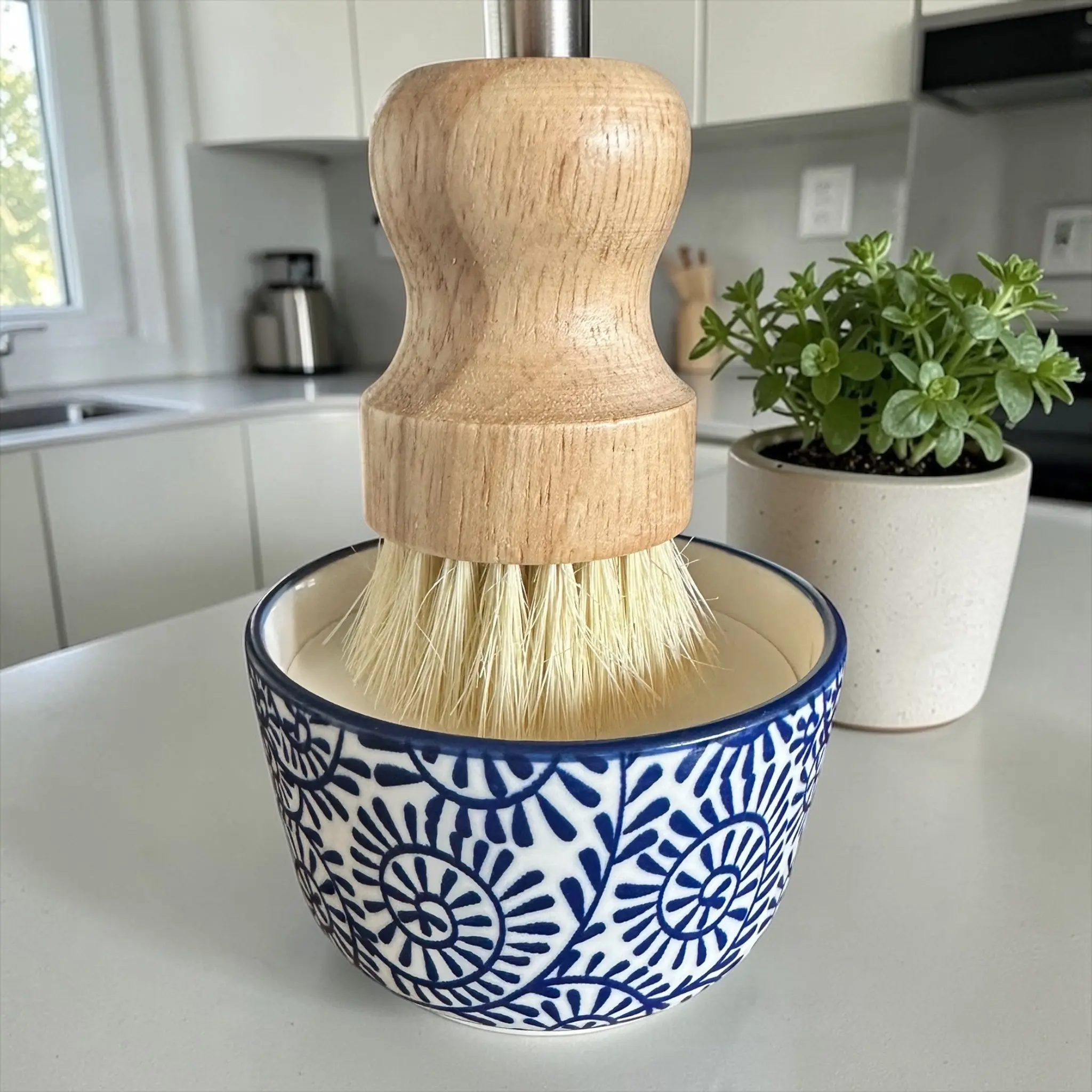 All Natural Solid Dish Soap Set