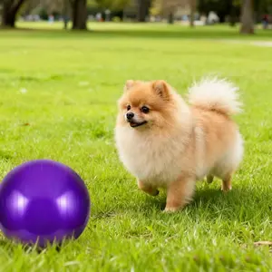 2-piece Shepherd Ball Set with Air Pump for Dogs Sheep & Horses Outdoor Fun Training Toy