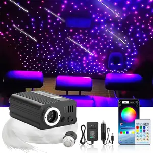 [Twinkle Meteor Starlight Headliner] 2-in-1 Twinkle Meteor Starlight Headliner Light Kit - 16W RGBW Light Source with 750pcs 0.03in 9.8ft Fiber Optical Cable - Sound Activated APP/Remote Control for Car/Home/Party Lighting