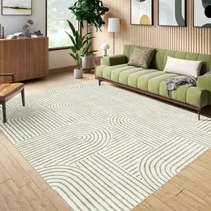 Modern Abstract Washable Non-Slip Sage Green Living Room Rug Rainbow Low-Pile Soft Floor Carpet for Bedroom Dining Room Office Nursery Home Decor