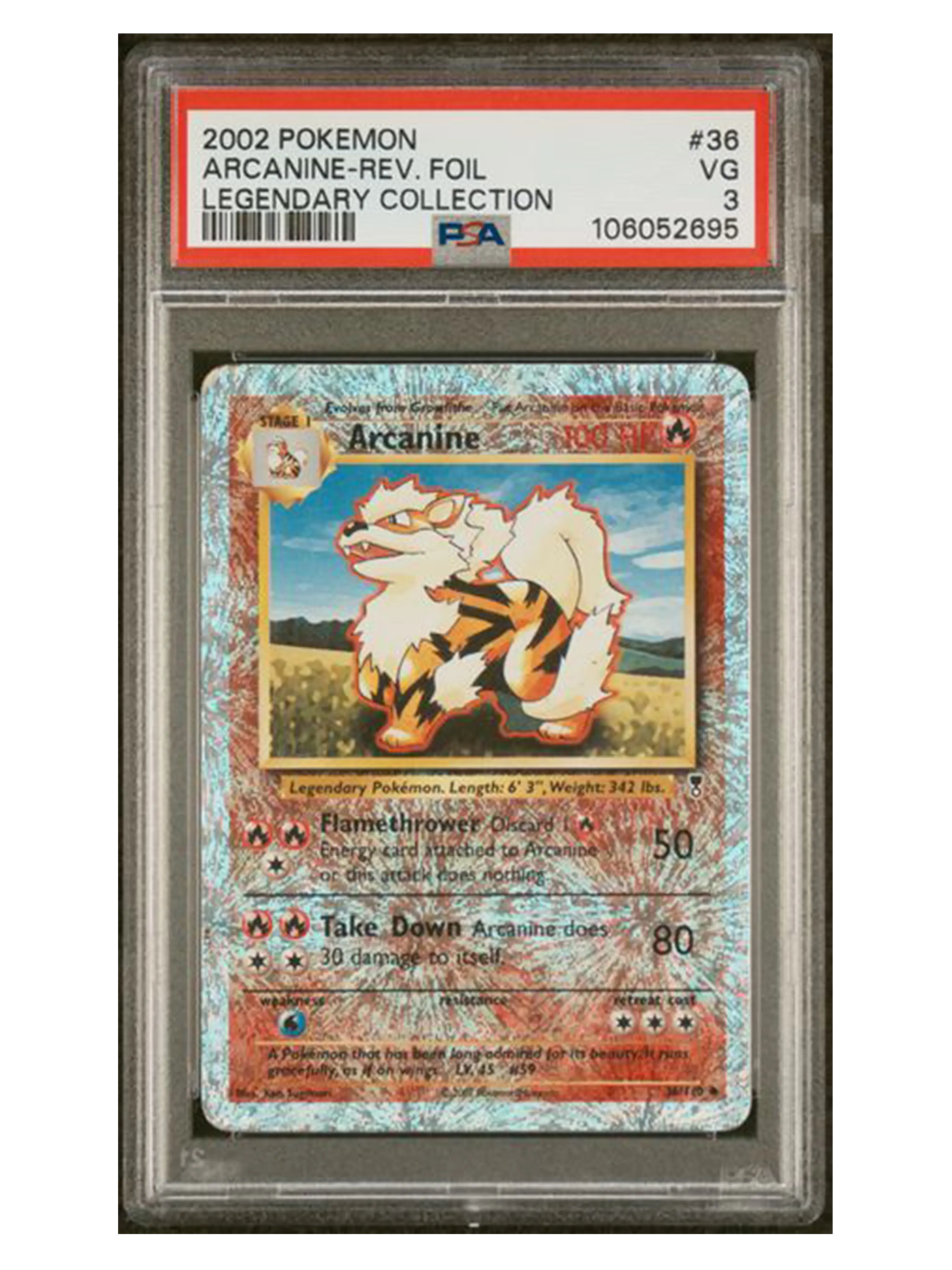 infernape pokemon tcg - TikTok Shop infernape pokemon tcg - TikTok Shop