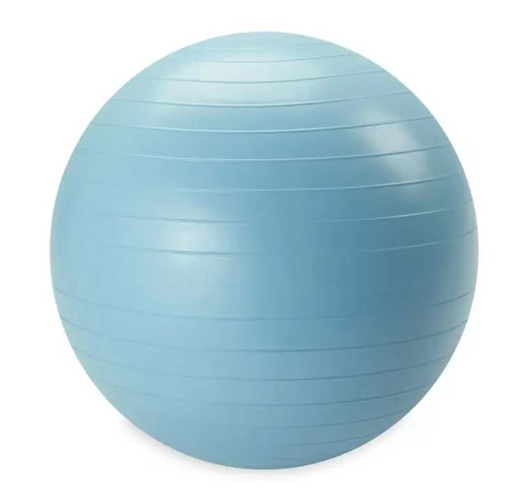 Weighted Stability Ball (55cm-75cm), Gym & Fitness Exercise Ball with Included Pump