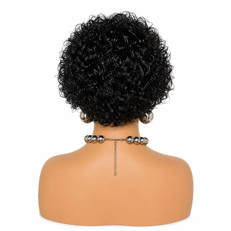 6 Inch Human Hair Curly Pixie Lace Front Wig, 13x1 Lace Part, Natural Black (for Women)