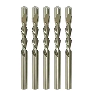 12 Pieces 1/4 Inch Drywall Cutting Tools Guide Point Cutting Bits,HSS65(M2) Materials Drill Bits, Cutting Drywall, Used for with Spiral Saw and Power Tools