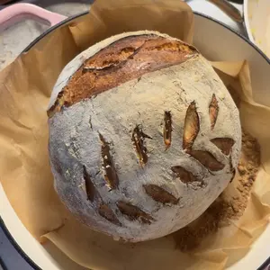 Delilah Sourdough Starter - Dehydrated Starter for Artisan Loaves, Bagels, and Baking Home Made Baked Goods