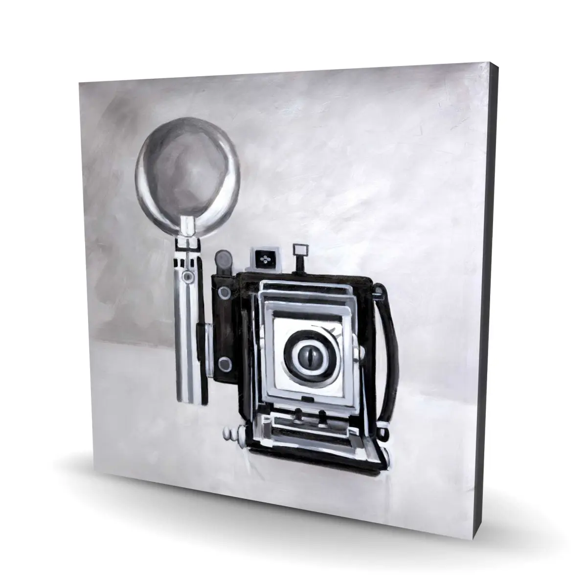 Begin Home Decor C1RC2424XB4KLU 24 x 24 in. Antique Camera Canvas - Unique Bedroom Home Decor Art