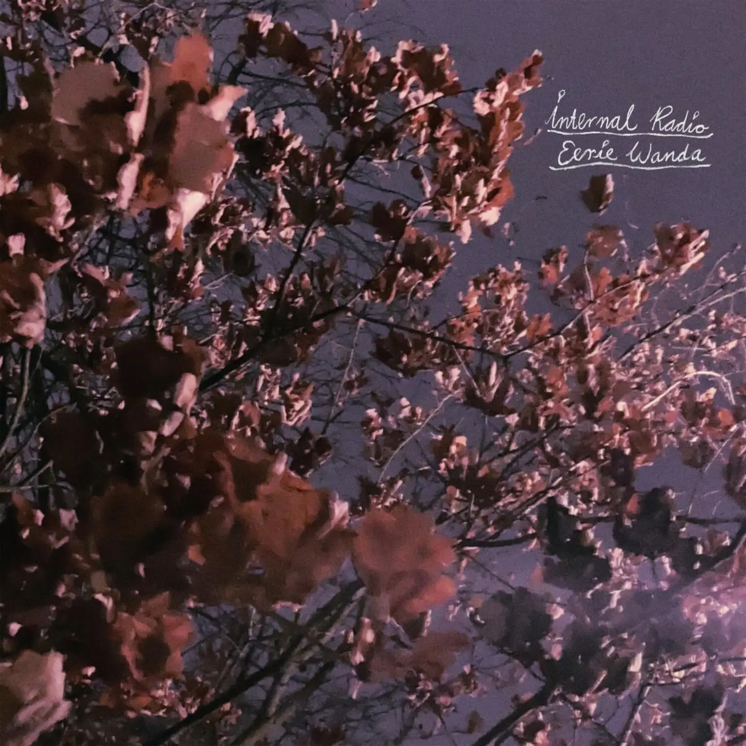 Eerie Wanda - Internal Radio - Lavender  [VINYL RECORD - LP] Colored Vinyl