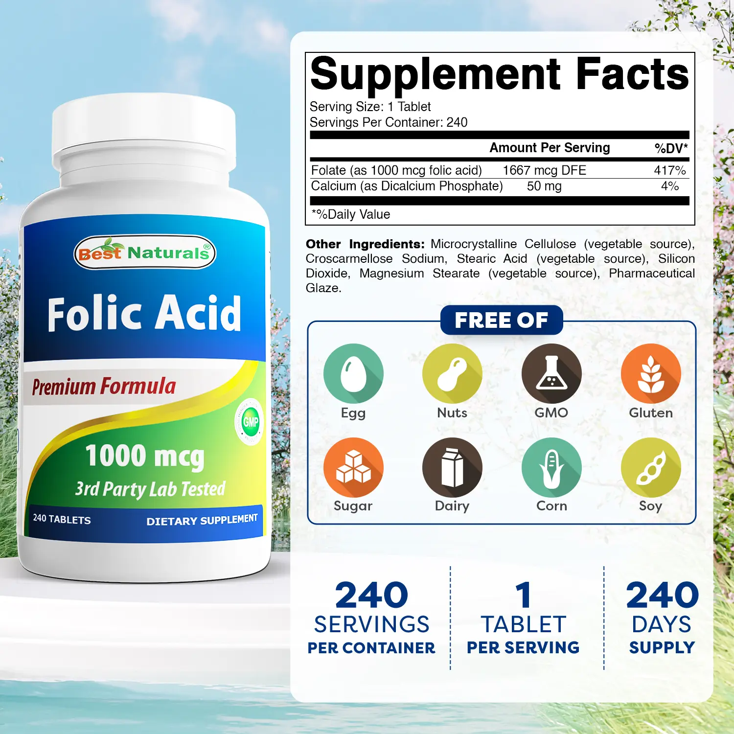 Best Naturals Folic Acid 1000 mcg (Vitamin B9), 240 Tablets