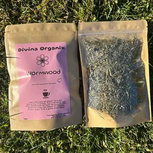 Jamaican Wormwood (Artemisia absinthium)- Herbal Tea