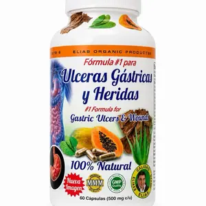 Gastric Ulcers & Wounds Herbal Supplement- Natural Digestive Support Capsules for Gastritis, Heartburn & Stomach Health 60 capsules