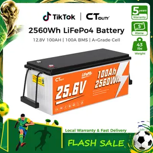 [Summerwins]CTOLITY CT100-25 25.6V 100Ah 2560Wh LiFePO4 Battery Built-in 100A BMS A Grade Cells Max 2560W 4000+ Cycle Solar Generater Systerm RV