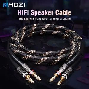 HHDZI Premium Audio Cable for Home Theater, Hi-Fi Speaker Wire with Gold-Plated Connectors and Anti-Winding Durability guitar cord Pro Audio Right Angle Guitar Cable handheld mic